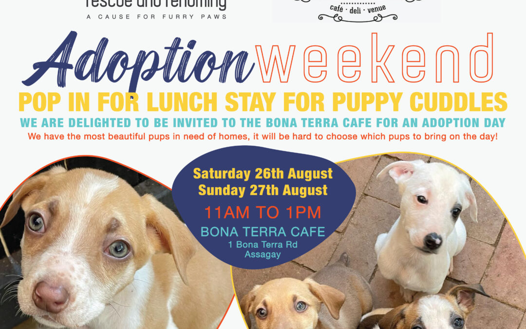 Adoption Day at Bona Terra Assagay