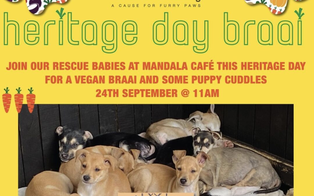 Heritage Day Vegan Braai