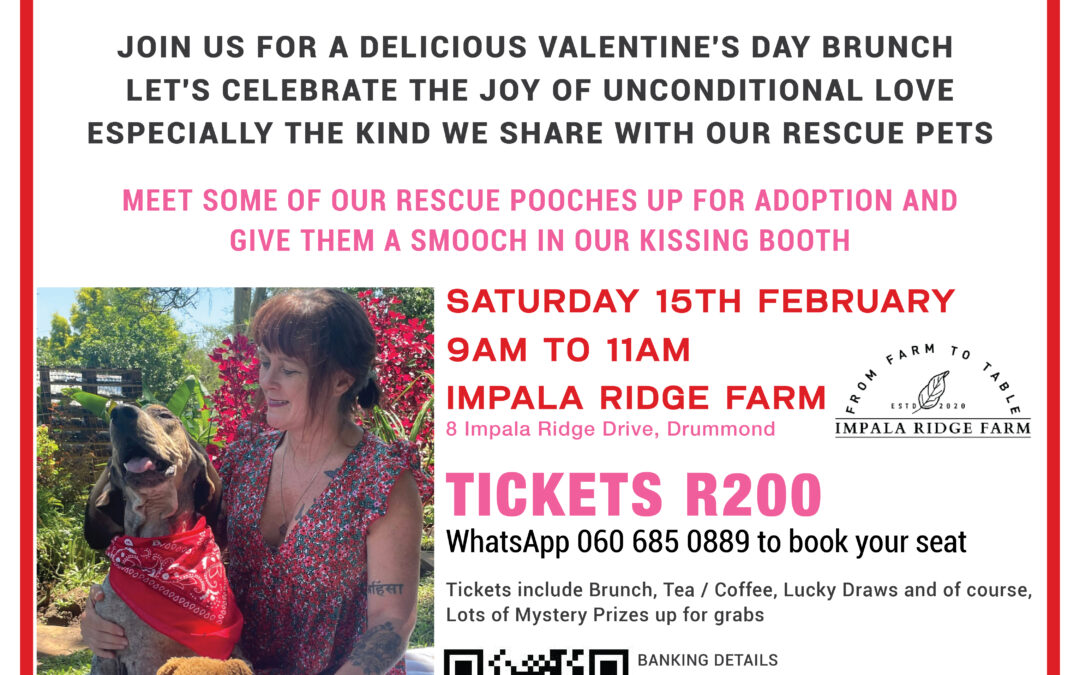 Valentine’s Day Breakfast / Brunch