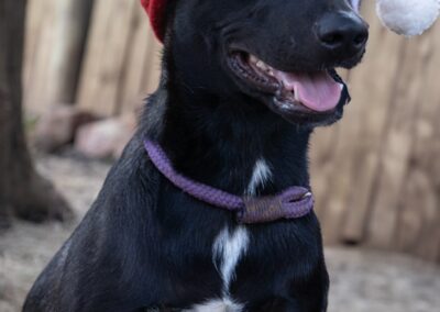 Remi