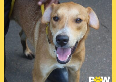 Ice T (Iris pup) 😎