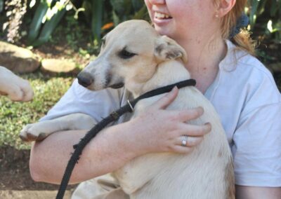 Shira (Sheba pup)
