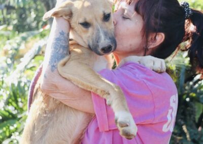 Suki (Sheba pup)