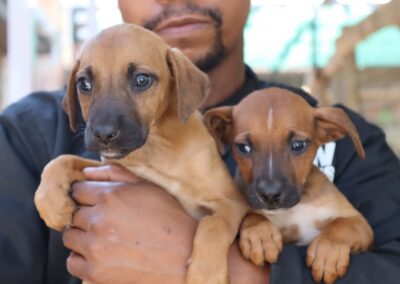 Our “K” Litter 🤎