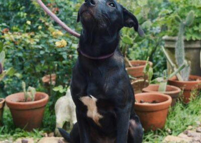 Jayla (J Litter)💌