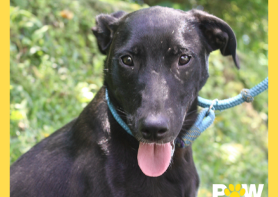 Jayla (J Litter)💌