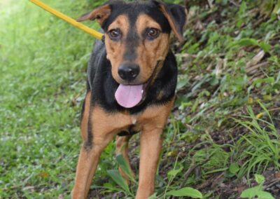 Pixie 🧚🏼‍♀️