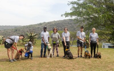 👻🤩🧟♂️ Spooktacular October is well under way! 👻🤩🧟♂️